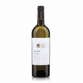 Gitana Focaia Sauvignon Veneto Sec 0.75L 12.5%